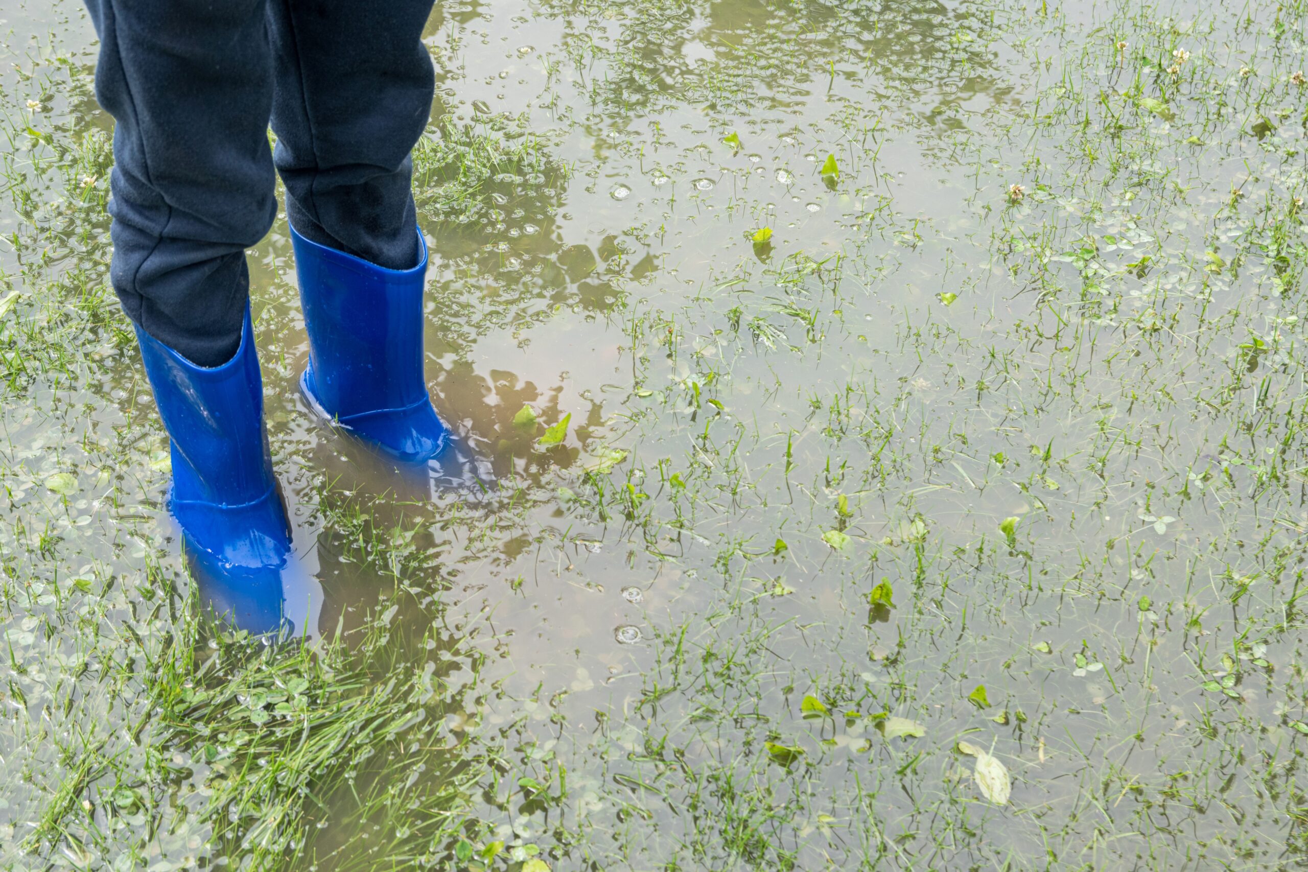 The child stands in the garden in the water, feet in rainfoot. The garden is flooded. Consequences of downpour, flood. Rainy summer or spring